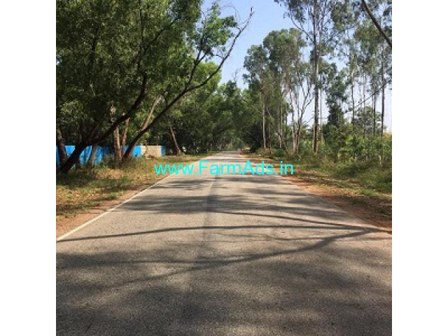 20 guntas farm land for sale in Town limit Doddballapura 20 guntas farm land for sale in Town limit Doddballapura