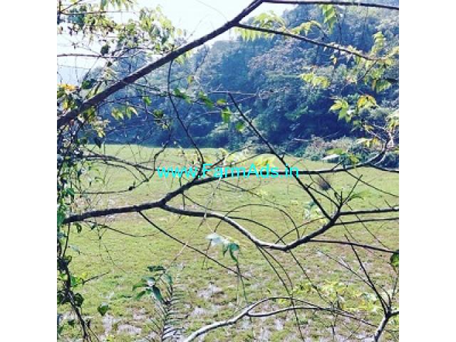 18 acre complete neglected plantation for sale in Sakleshpur 18 acre complete neglected plantation for sale in Sakleshpur