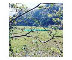 18 acre complete neglected plantation for sale in Sakleshpur
