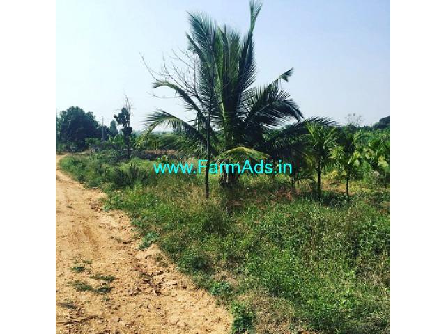 1 acre 6 guntas farm land for sale in Saslu hobli, Bangalore rural 1 acre 6 guntas farm land for sale in Saslu hobli, Bangalore rural