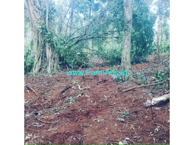 1 Acre Farm Land Available For Sale near Chikmagalur 1 Acre Farm Land Available For Sale near Chikmagalur