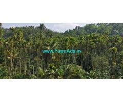 4.30 acres Farm Land for sale at Attappadi