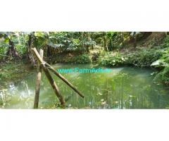 4.30 acres Farm Land for sale at Attappadi
