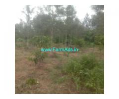 8 acre coffee estate for sale in Alur 8 acre coffee estate for sale in Alur