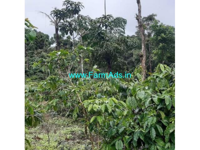 14 acre coffee estate for sale in Mudigere 14 acre coffee estate for sale in Mudigere
