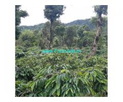 14 acre coffee estate for sale in Mudigere 14 acre coffee estate for sale in Mudigere
