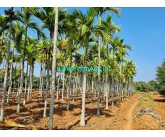 3 acre 16 guntas Farm land for Sale near Gubbi