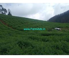 3 Acres Tea Estate Property for sale in Ooty,Nilgiris
