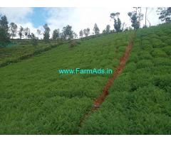 3 Acres Tea Estate Property for sale in Ooty,Nilgiris