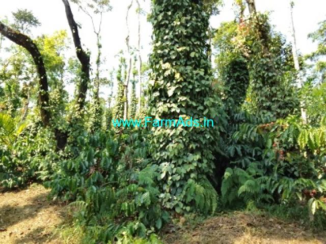 6.5 acre well maintained Robusta and pepper plantation sale in Mudigere 6.5 acre well maintained Robusta and pepper plantation sale in Mudigere