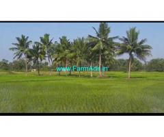 20 Acres Punjai Agricultural land for Sale Near Uthiramerur