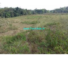 6.5 Acres plain land for sale in Mudigere