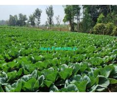 2 acre 4 guntas Farm Land for Sale near Bangalore