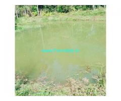 1 acre plantation for sale in Chikmagalur 1 acre plantation for sale in Chikmagalur