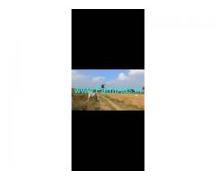 3 acres Farm land for sale near Komuravelli kaman