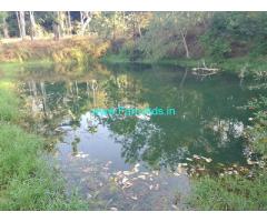 12.5 acre average maintained Robusta plantation sale in Chikmagalur