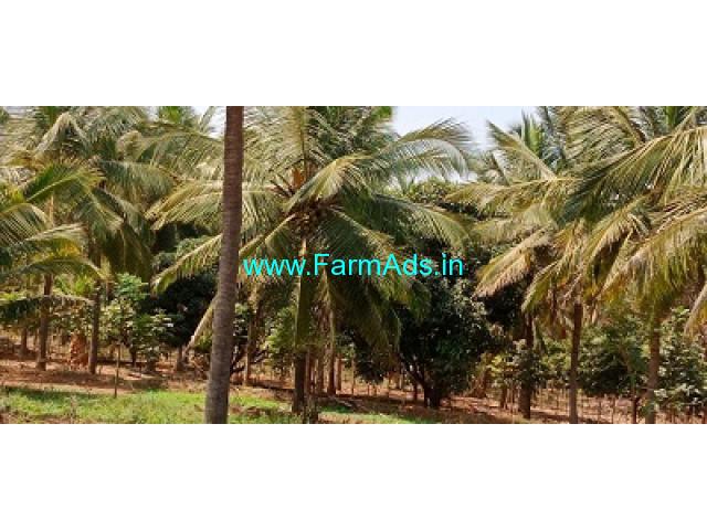 4 acre coconut garden for sale near Arsikere 4 acre coconut garden for sale near Arsikere