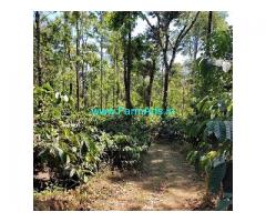 11 acre well maintained coffee plantation for sale in Chikmagalur