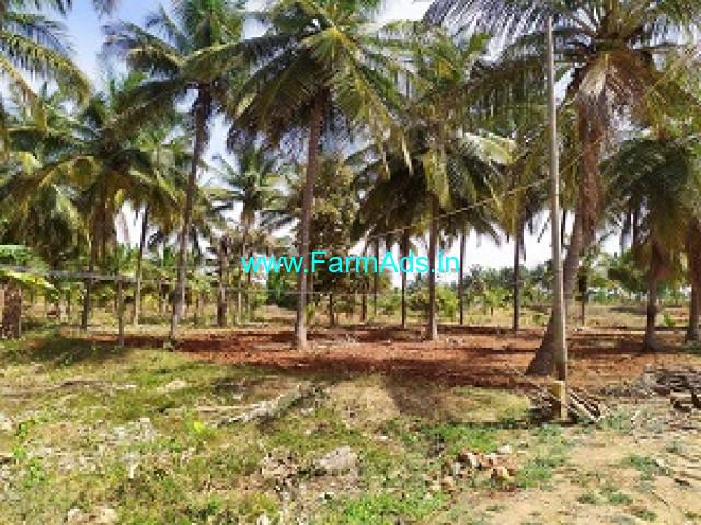 Total 1.5 acre, coconut garden for sale near Tiptur Total 1.5 acre, coconut garden for sale near Tiptur