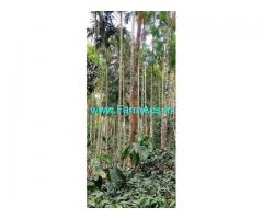 12 Acre Coffee Estate For Sale In Chikmagalur at Balehonnur