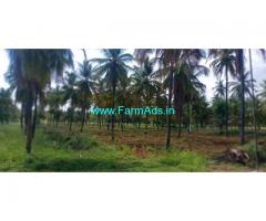 24 Acre Coconut Farm For Sale near Arsikere 24 Acre Coconut Farm For Sale near Arsikere