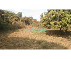 6 Acres Fully developed agriculture land in Denkanikottai