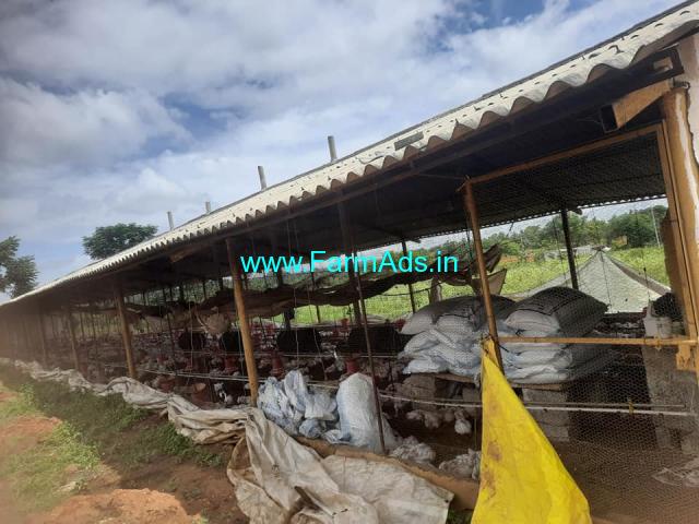 Agriculture land for sale 1 Acre near Nelamangala Agriculture land for sale 1 Acre near Nelamangala