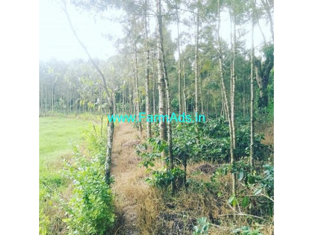 2.5 acre coffee estate for sale near Aldur,Toranmavu joladal road 2.5 acre coffee estate for sale near Aldur,Toranmavu joladal road