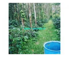 2.5 acre coffee estate for sale near Aldur,Toranmavu joladal road 2.5 acre coffee estate for sale near Aldur,Toranmavu joladal road