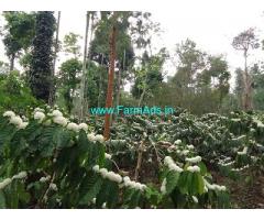 5 acre Robusta plantation sale in Chikmagalur
