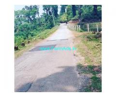 3 acre 15 Gunta Areca plantation for sale in Hassan
