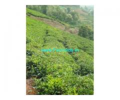 10 acre's Maintained Tea estate Property for sale in Ooty