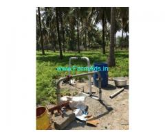 9 Acres Coconut farm for sale near Thondamuthur