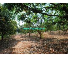 10 Acres Mango Garden for sale near Zahirabad