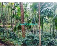 5 acre coffee estate for sale at Kallatgiri Kemmangundi road
