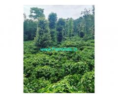 8 acre coffee estate with home stay,cottages for sale in Chikmagalur