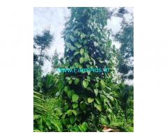 8 acre coffee estate with home stay,cottages for sale in Chikmagalur