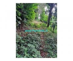 4 Acres River side Coffee estate sale in Kodagu, napoklu to yemmemadu road
