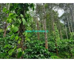 4 Acres River side Coffee estate sale in Kodagu, napoklu to yemmemadu road