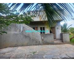 9 Acre Coconut Tree farm Land for Sale near Hiriyur