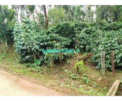 2 acre well maintained Robusta plantation sale in Mudigere