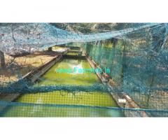 5.75 acres Farm Land for Sale at Arakkonam