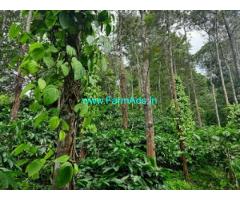 4.50 Acres River side Estate sale in Kodagu,Napoklu to Yemmemadu road