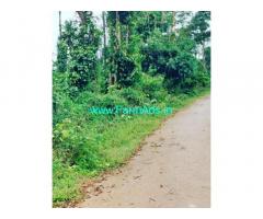 5 acre coffee estate for sale in Sakleshpur