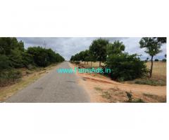 20 Acres Empty land Sale Near Challakere