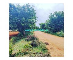 2 acres farm land for sale in Doddaballapur 2 acres farm land for sale in Doddaballapur
