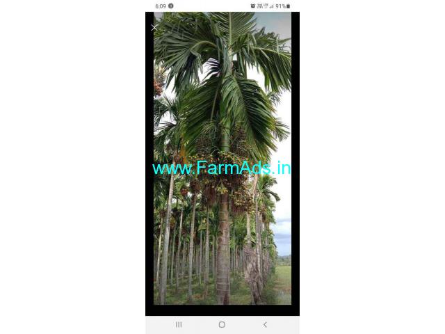 2 Acres river side Farm Land for Sale Venoor to Mudbidri road 2 Acres river side Farm Land for Sale Venoor to Mudbidri road