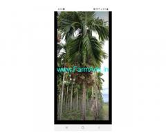 2 Acres river side Farm Land for Sale Venoor to Mudbidri road