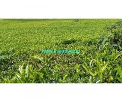 1 acre tea estate for sale in Kotagiri location