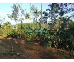 12.5 acre average maintained Robusta plantation sale in Chikmagalur 12.5 acre average maintained Robusta plantation sale in Chikmagalur
